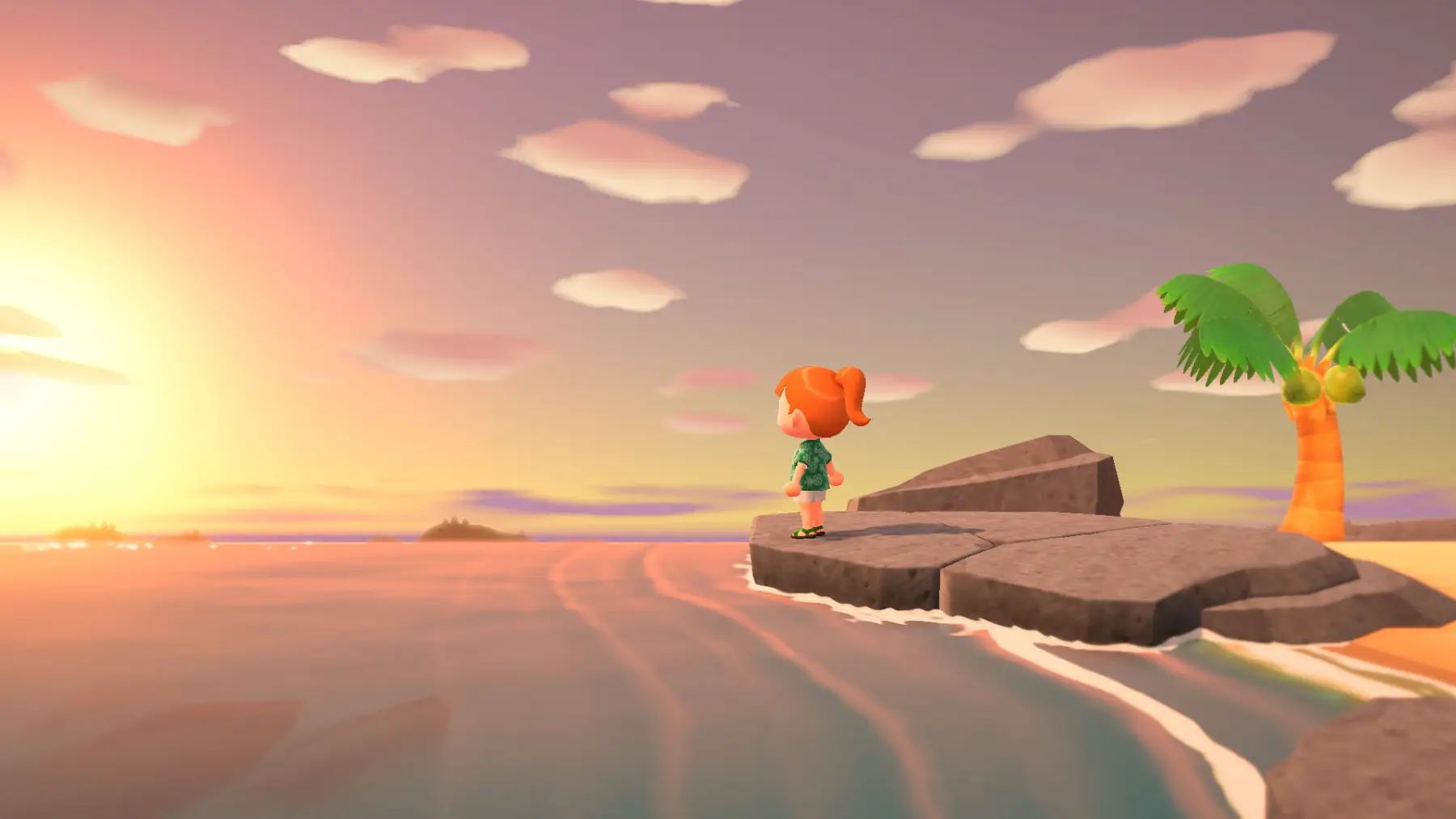 Image du jeu Animal Crossing: New Horizons