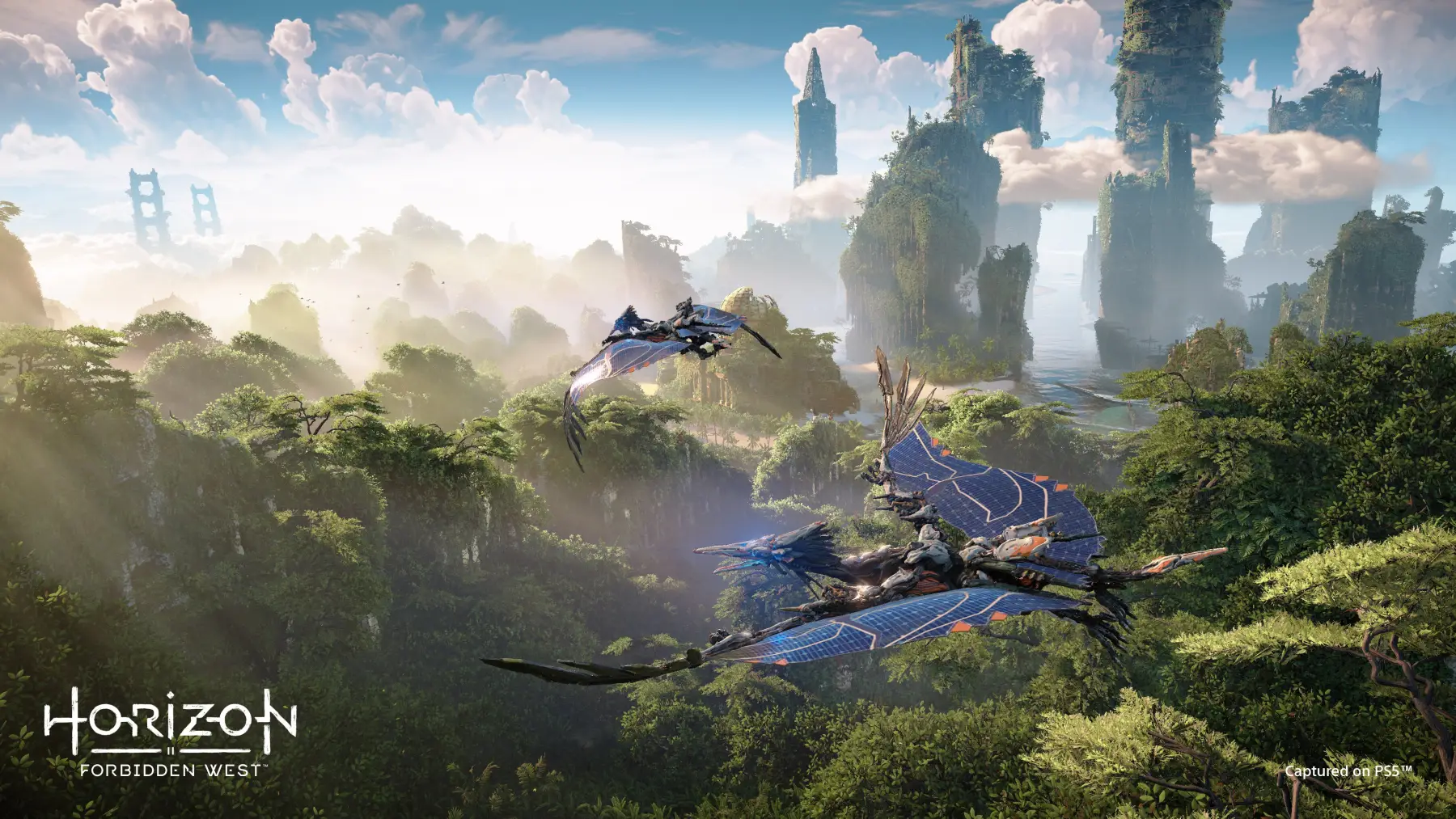 image du jeu