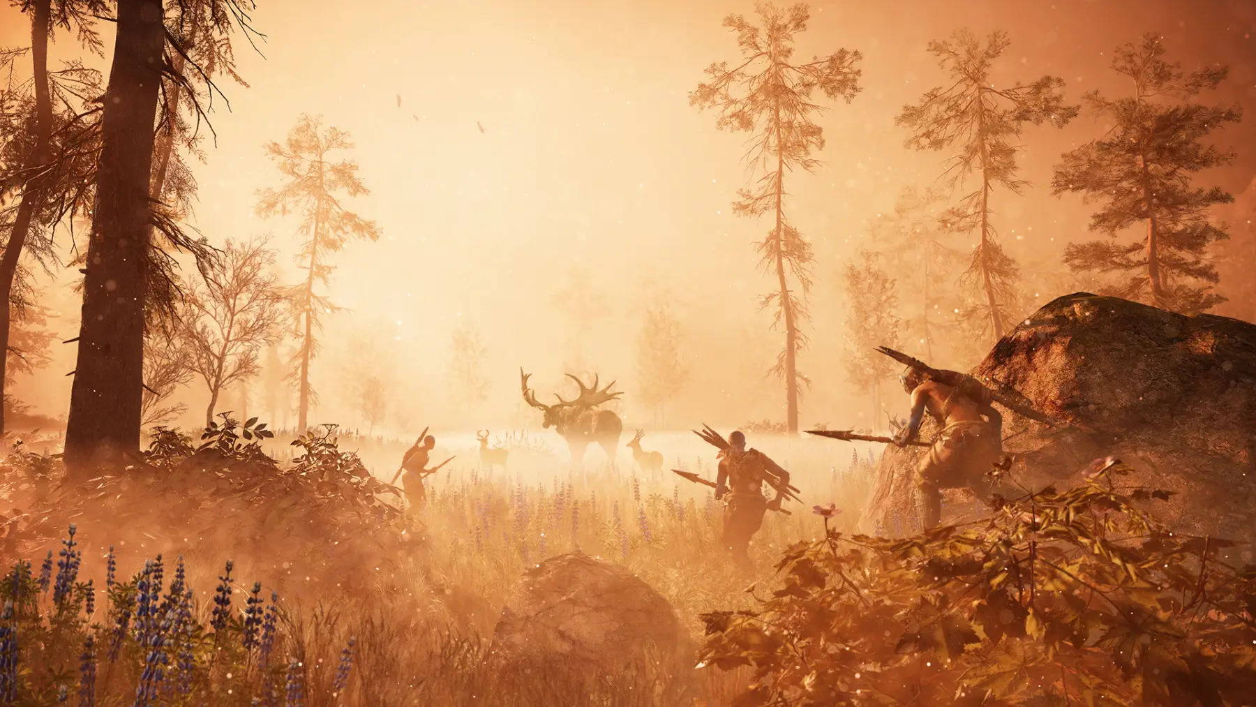 image du jeu