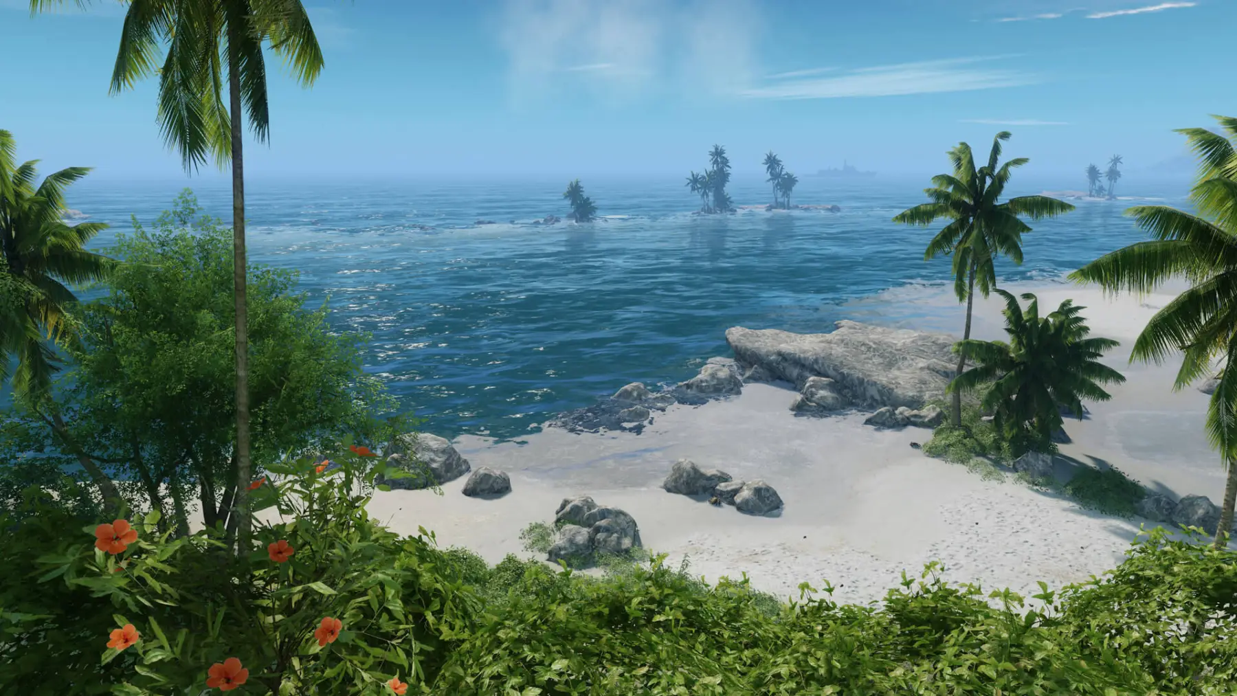 image du jeu