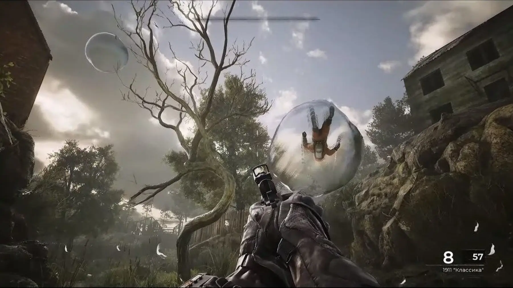image du jeu