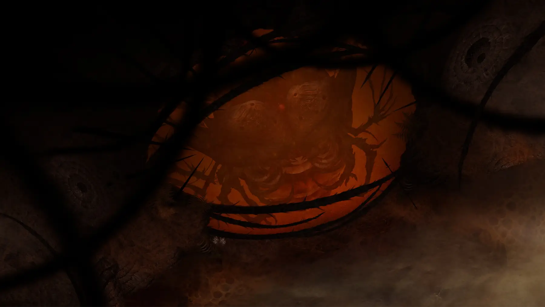 Image du jeu Perennial Order