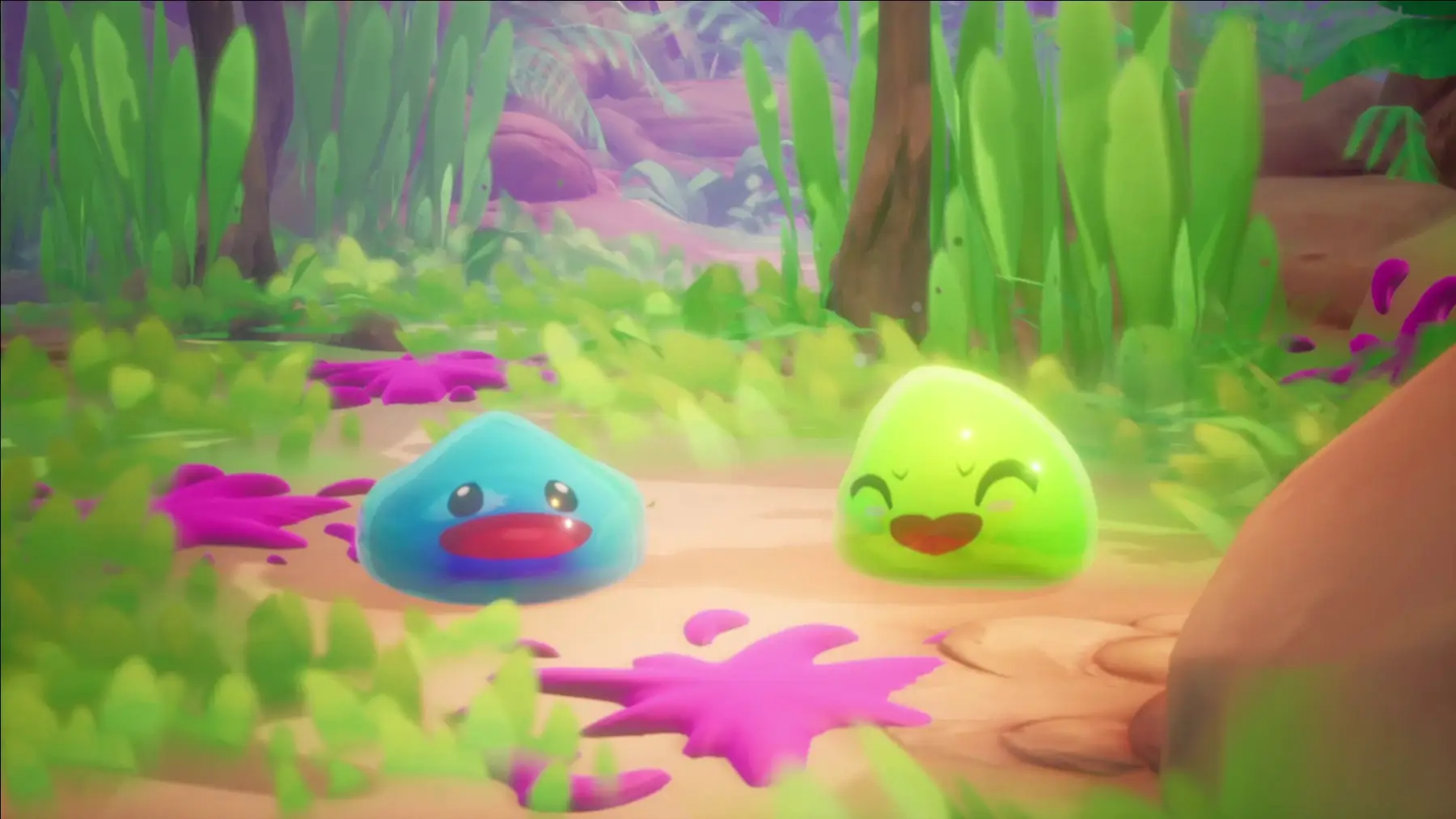 image du jeu