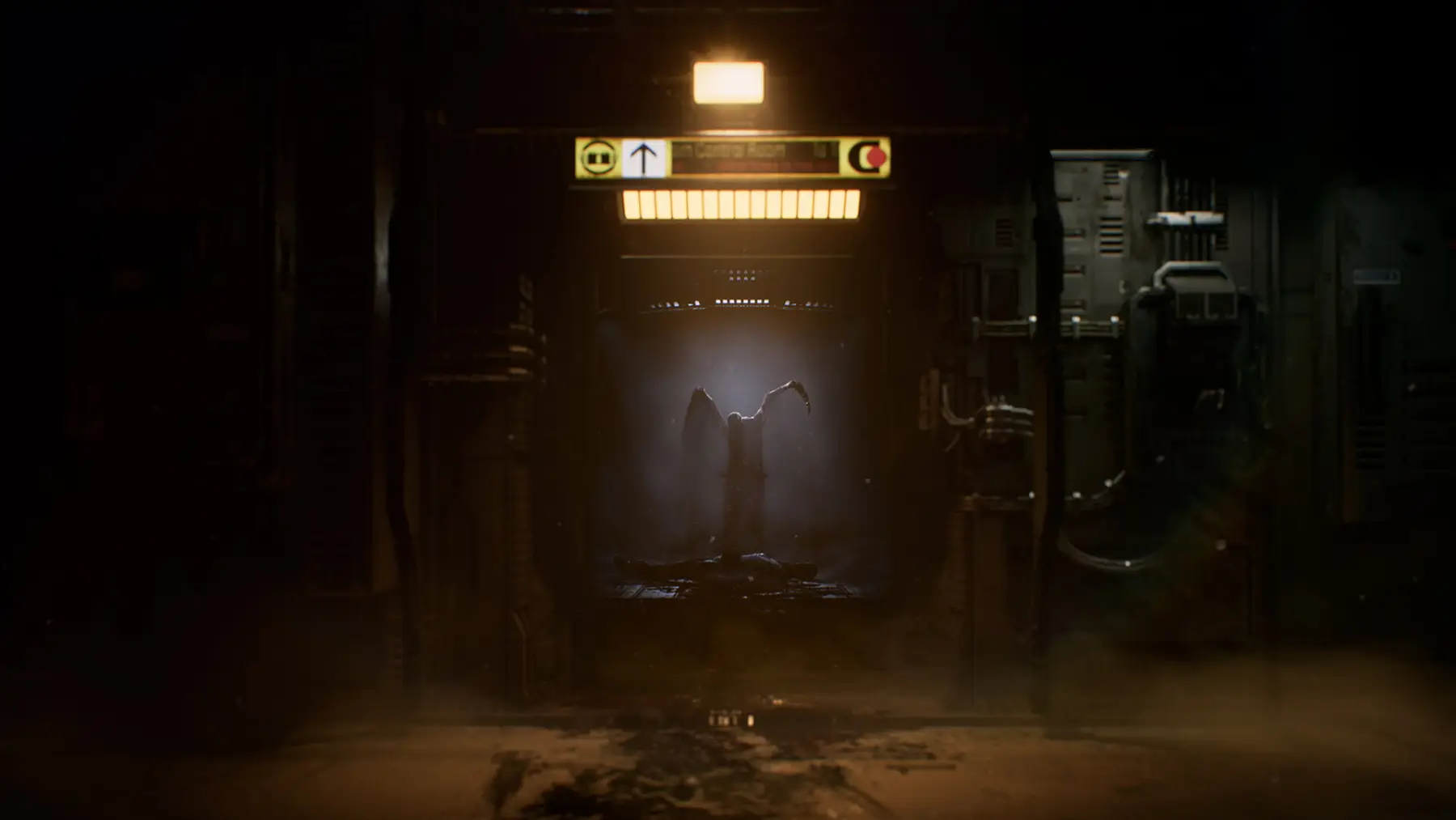 image du jeu