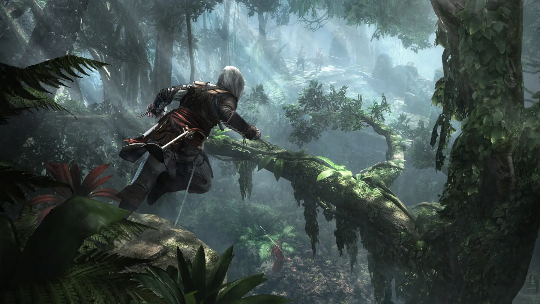 Image du jeu Assassin's Creed IV Black Flag