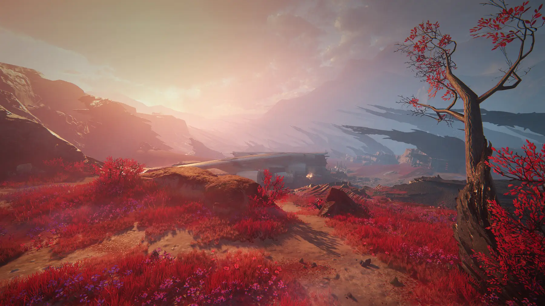image du jeu