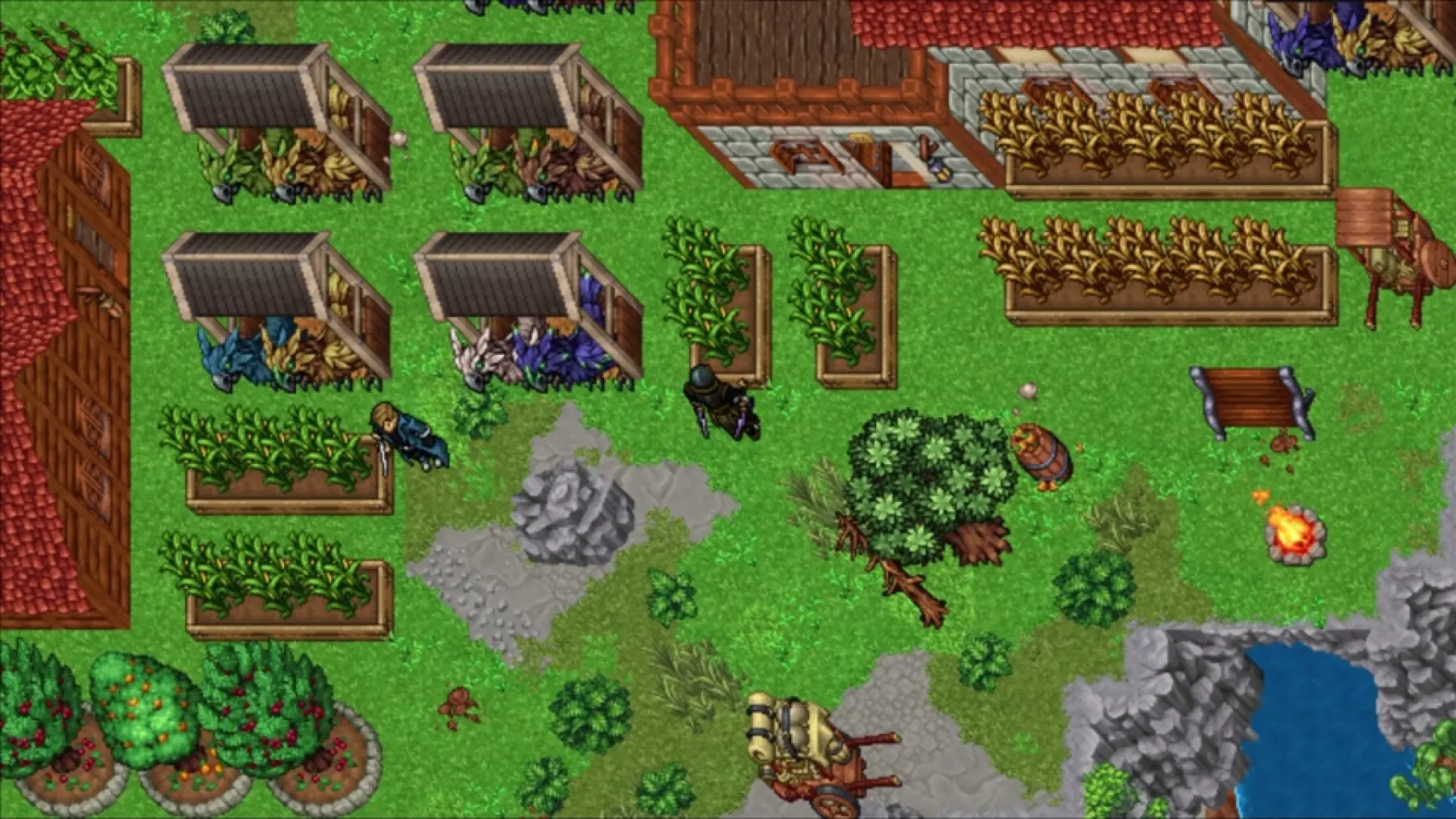 image du jeu