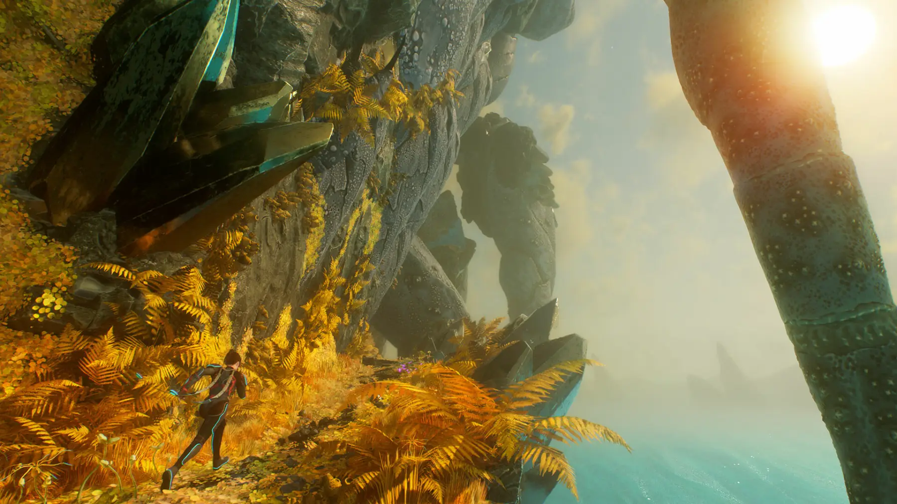 Image du jeu Otherskin