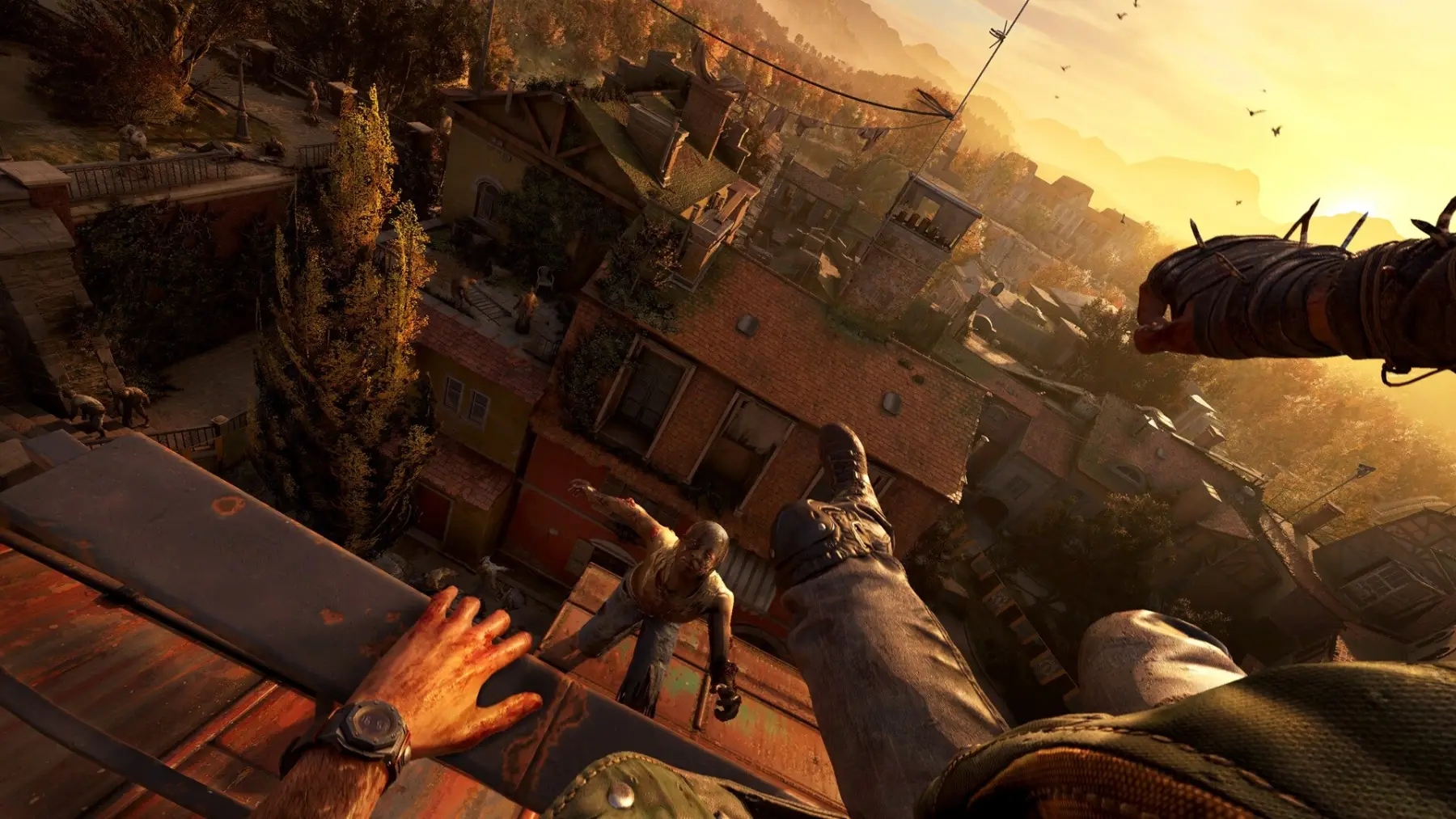 image du jeu