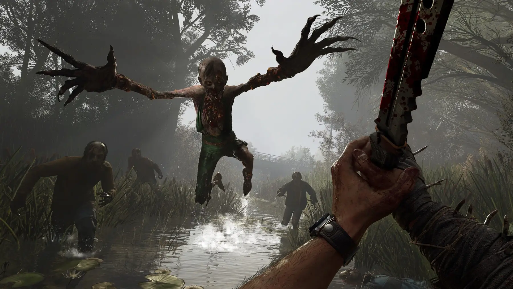 Image du jeu Dying Light: The Beast