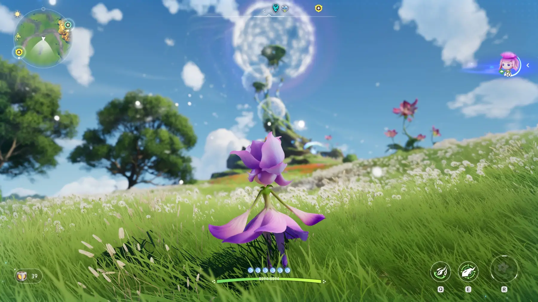 image du jeu