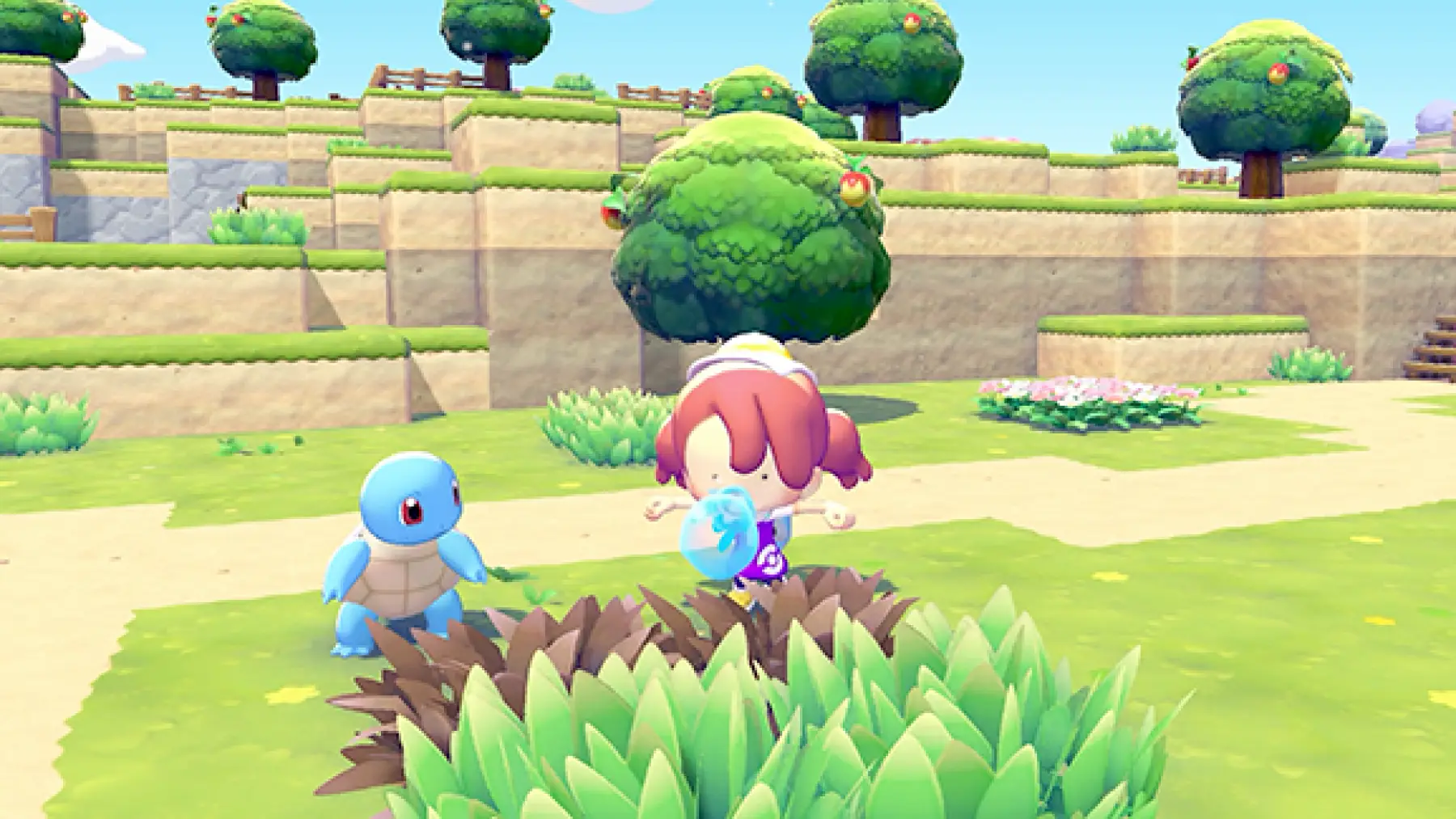 image du jeu