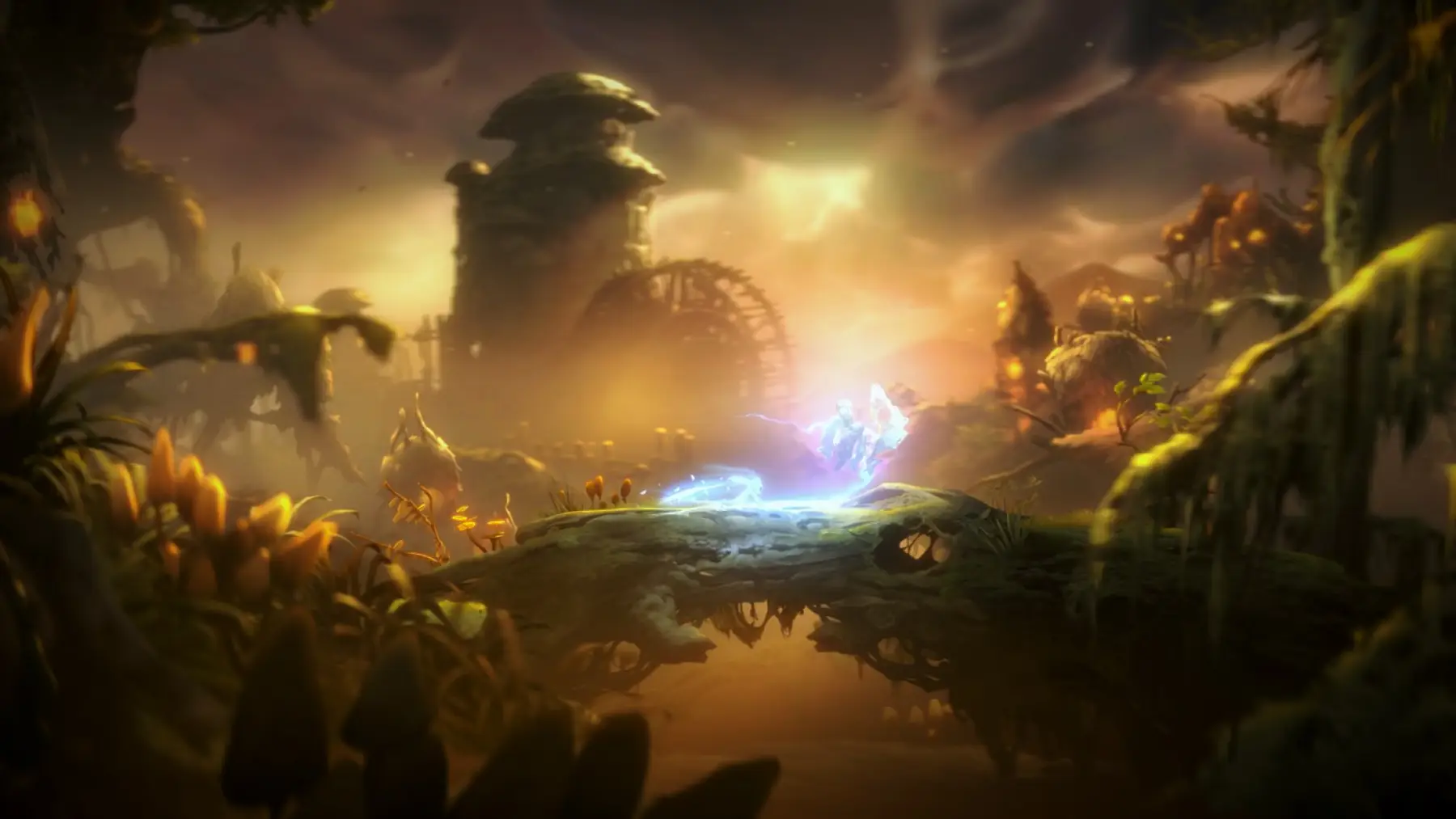 image du jeu