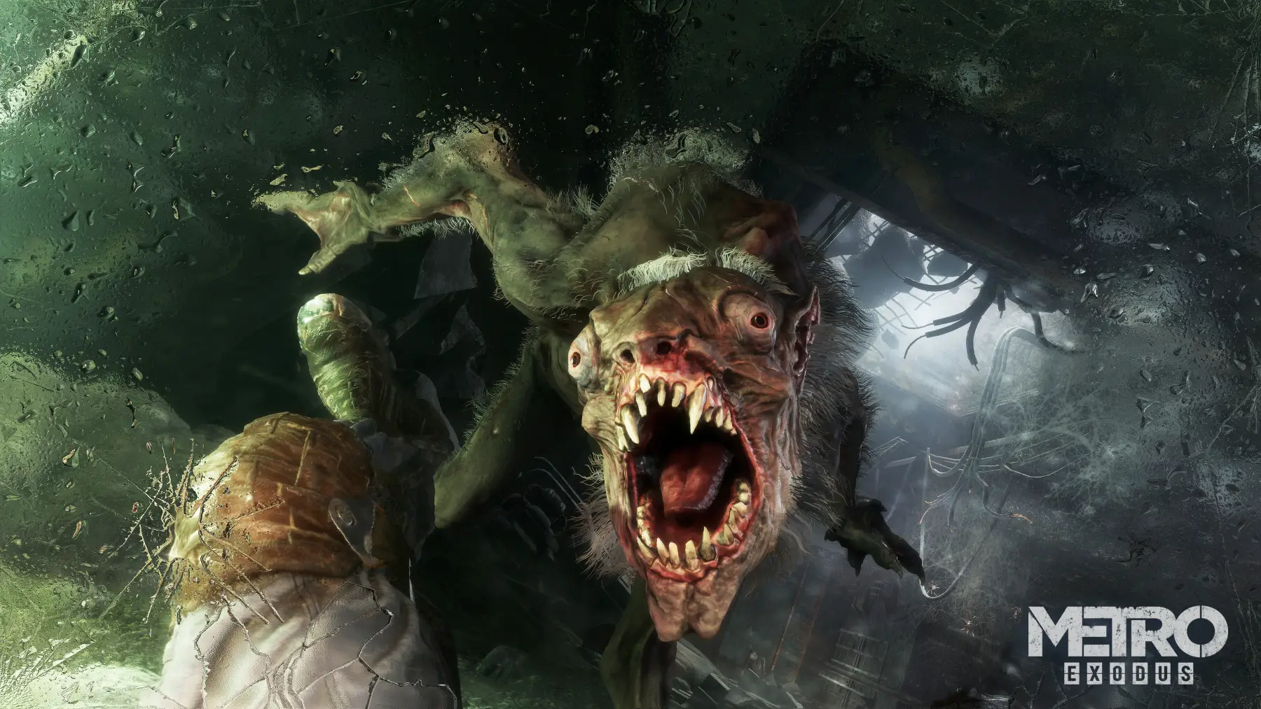 Image du jeu Metro Exodus