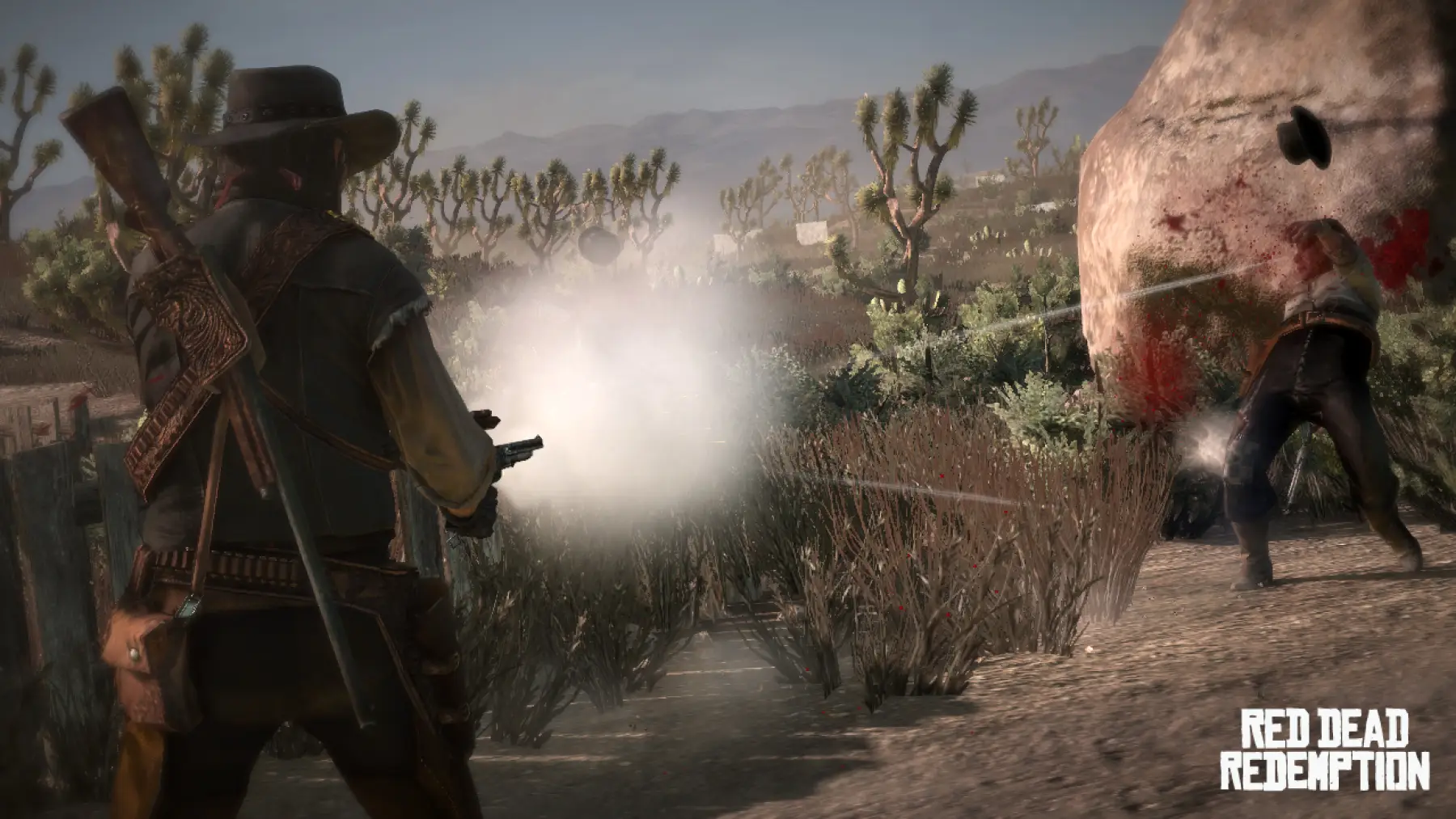 Image du jeu Red Dead Redemption