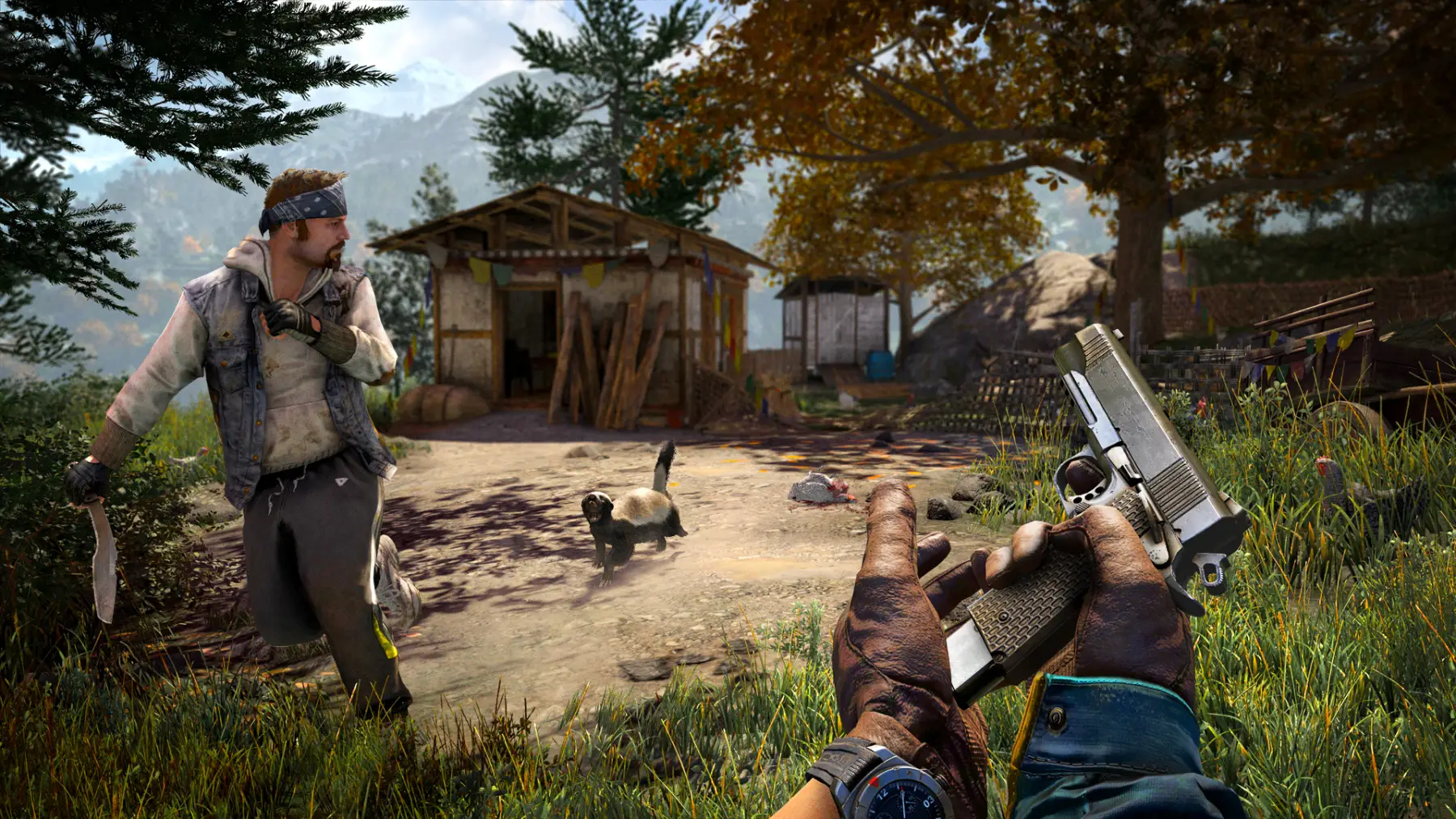 Image du jeu Far Cry 4