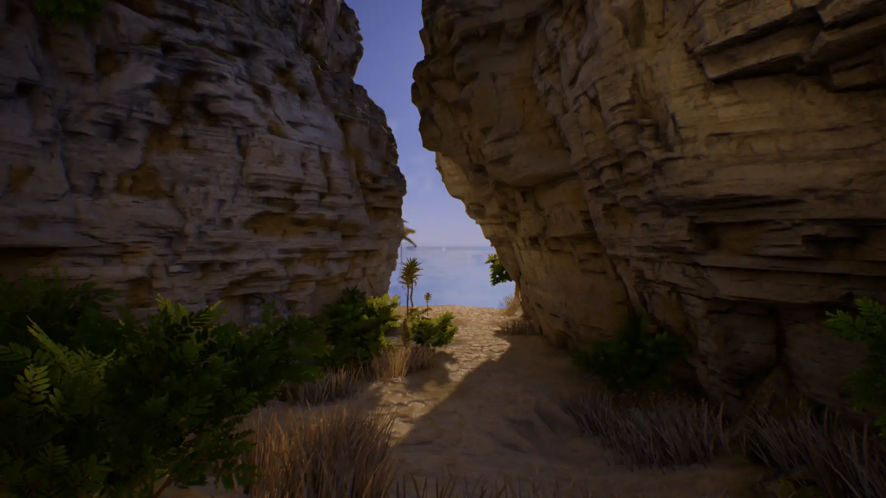 Image du jeu Journey of Life